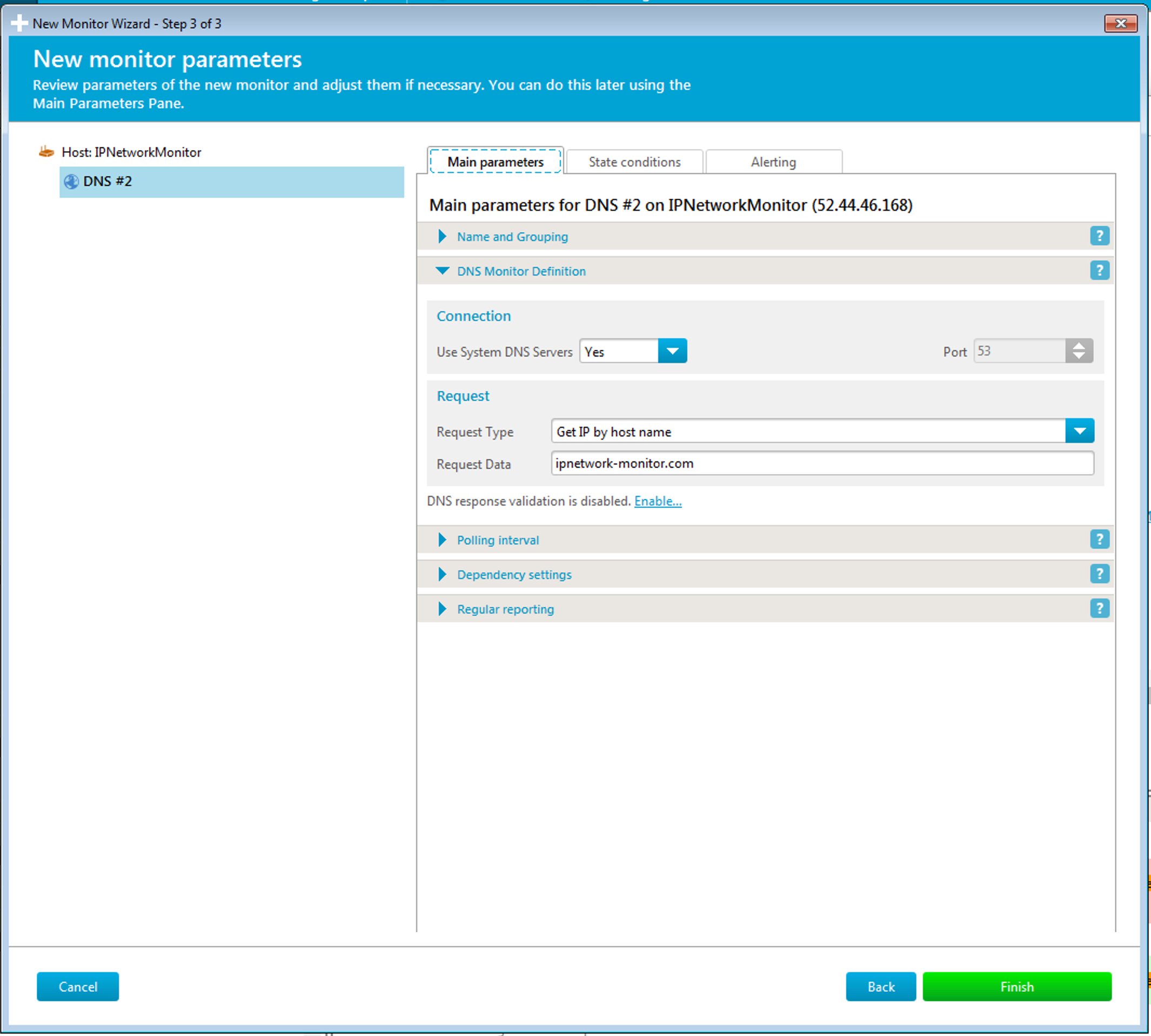 Wizard step 3 - DNS monitor parameters